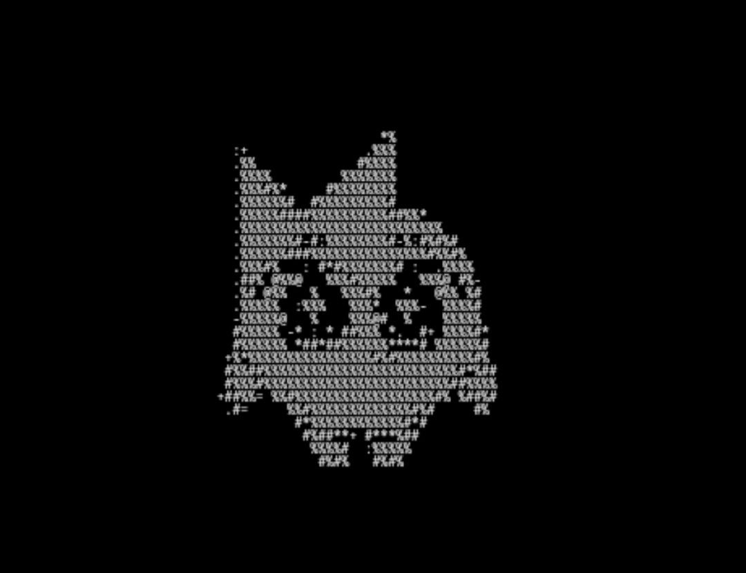 hIRYS Converter ASCII preview